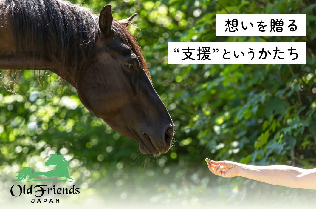 feature_oldfriendsjp.webp
