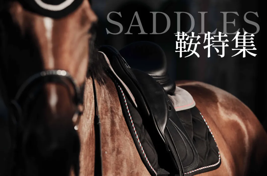 feature_saddle.webp