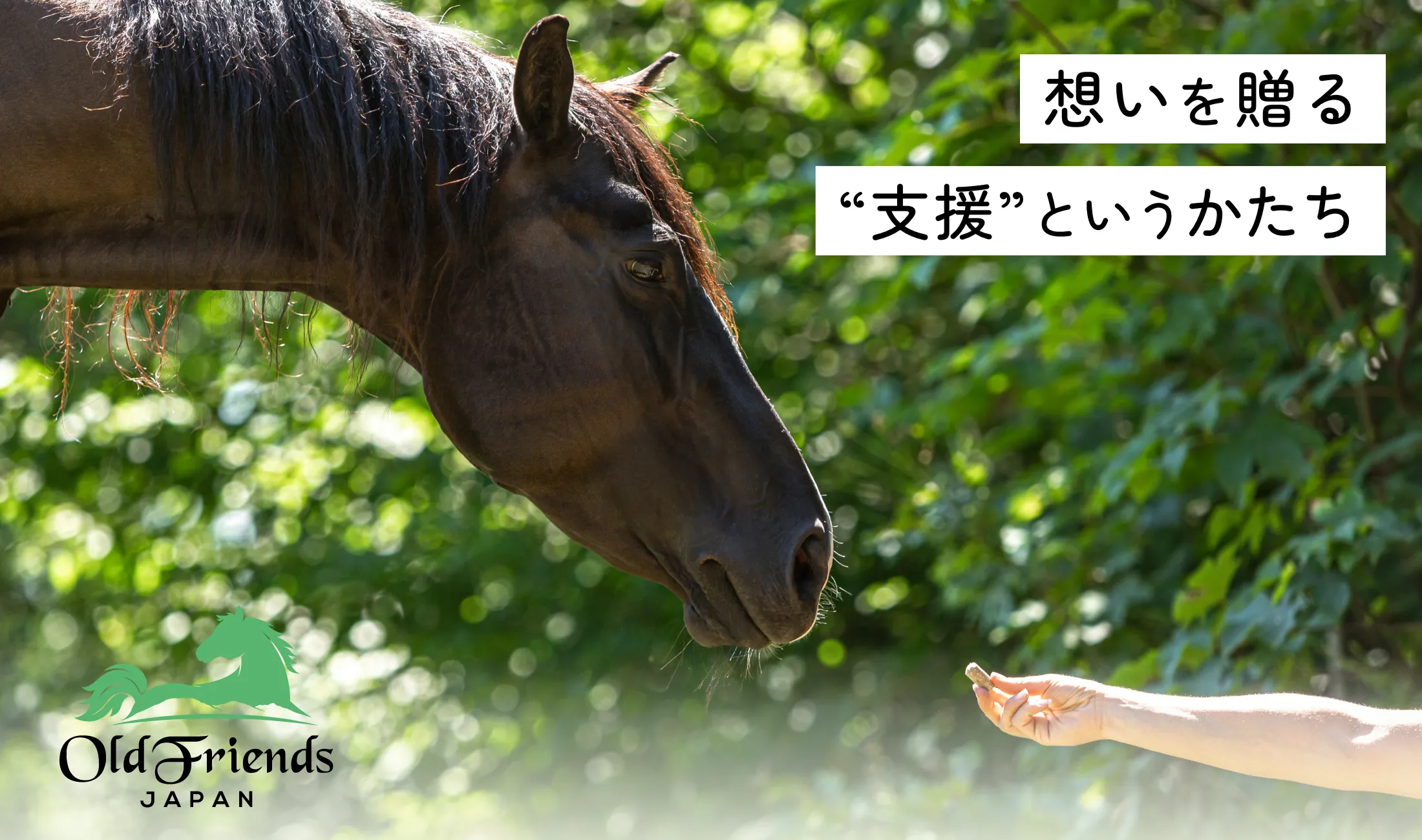 hero_slide02.webp